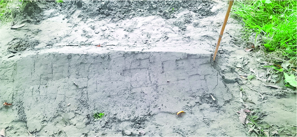 Image of মো: আদিল